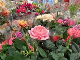 Real Flower